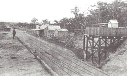 St Leonards station in January 1890.